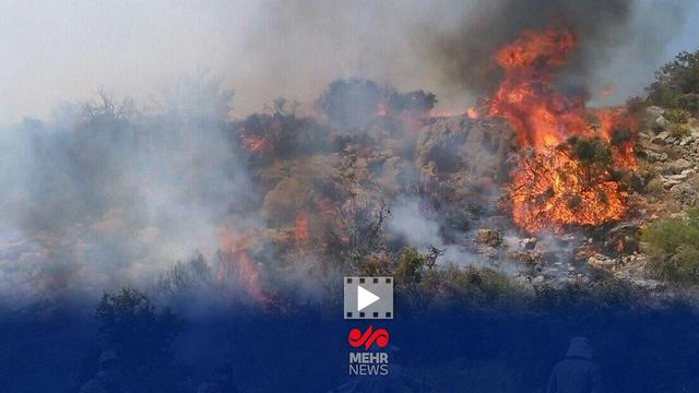 قلعه نویی میثاقی را با فردوسی‌پور اشتباه گرفت