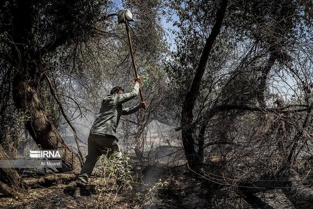 استاندار مازندران: آتش‌سوزی جنگل‌های الیت مهار شد