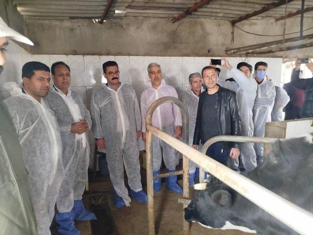 واکسیناسیون رایگان دام‌های شهرستان‌های حوزه انتخابیه آغاز شد / بر سر منافع دامداران با هیچ‌کس تعارف نداریم