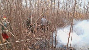 حریق در مناطق جنگلی چهار شهرستان گلستان/نیروهای یگان حفاظت پای کار مهار آتش