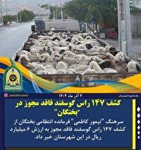 کشف ۱۴۷ راس دام سبک قاچاق در بختگان