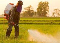 مانور ملی نظارت بر واحد‌های کنترل عوامل قرنطینه‌ای گیاهی