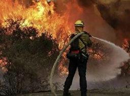 عامل انسانی حریق الیت تأیید شد؛ بررسی علت دقیق ادامه دارد