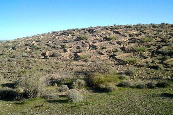 سامانه‌های سطوح آبگیر؛ راهی برای احیای باغات دیم در مواجهه با خشکسالی