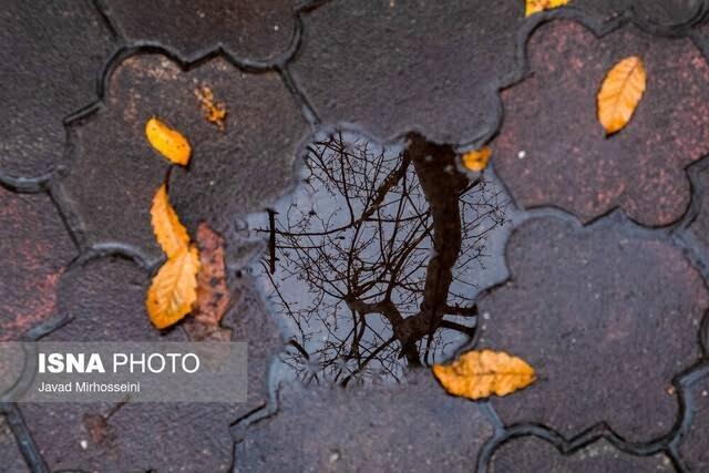 آغاز ارش‌ها در کردستان از نیمه آذر