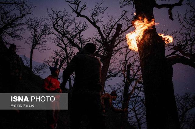 دخالت انسان در آتش‌سوزی الیت قطعی است