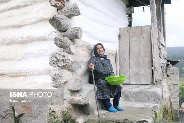 آمارهای جدید از سالمندی؛ ایران از مرز ۱۴ درصد جمعیت سالمند عبور کرد/ وارد دوره سالمندی شدیم