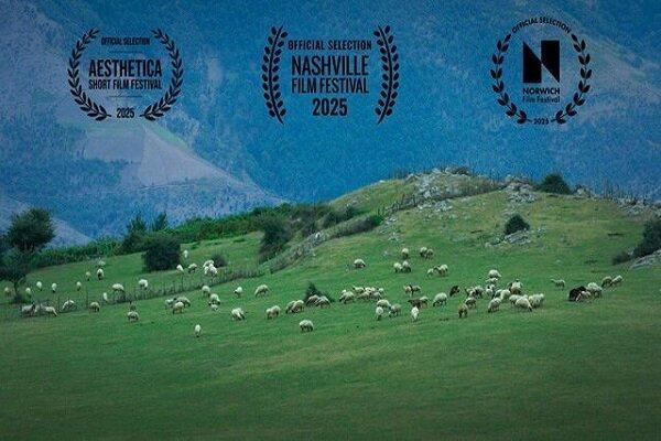 فیلم "گوسفند" ایرانی برگزیده جشنواره لس‌آنجلس شد