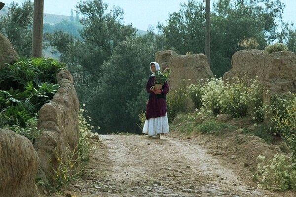 جشنواره جهانی فیلم فجر با نمایش فیلمی از عباس کیارستمی افتتاح می‌شود