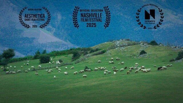 گوسفند ایرانی نظر لس‌آنجلسی‌ها را جلب کرد