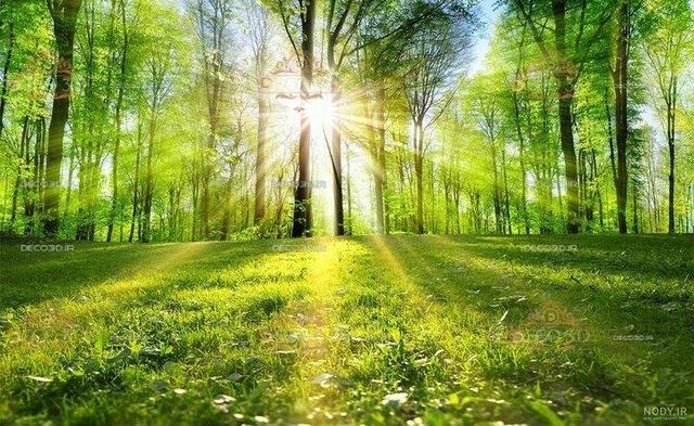 ماجرای نوری که ناگهان در بهشت می‌تابد و بهشتیان را از لذت بیهوش می‌کند