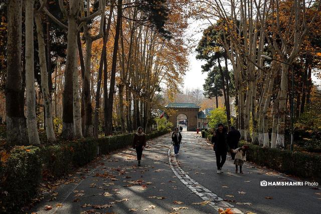 هشدار آلودگی برای ۱۱ شهر | بارش پراکنده از فردا