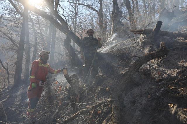 آتش جنگل‌های الیت هنوز مهار کامل نشده است
