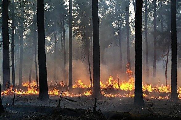 آخرین خبرها از آتش جنگل هیرکانی؛ بالگرد هلالاحمر وارد گلستان شد (۴ اذر ۱۴۰۴)