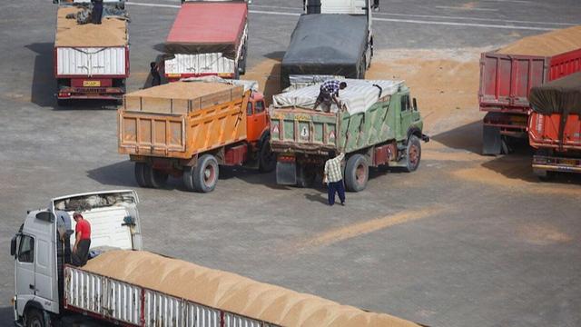 صادرات بیش از ۸ میلیون کیلوگرم فرآورده‌های خام دامی از لرستان