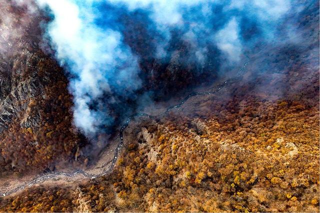 مرزبانی: ۱۰ هکتار از جنگل‌ های گیلان در آتش سوخت