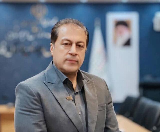 طیبی: ورزشکاران فارس در میادین بین‌المللی و داخلی درخشیدند