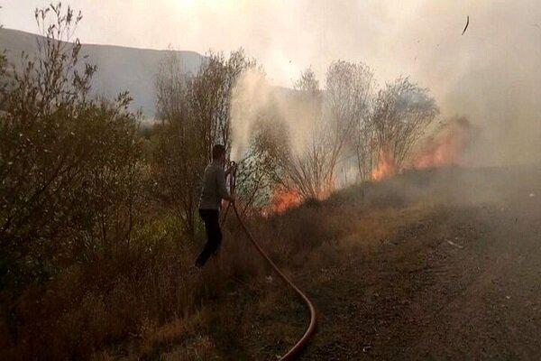 باد شدید در گونیلی، مهار آتشسوزی کلاله را دشوار کرد