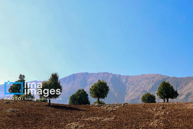 افزایش نگران‌کننده دما در چهارمحال و بختیاری؛ نشانه‌ای آشکار از تشدید تغییرات اقلیمی