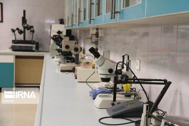 برگزاری ۲۰۰ نشست تخصصی پژوهش محور در البرز