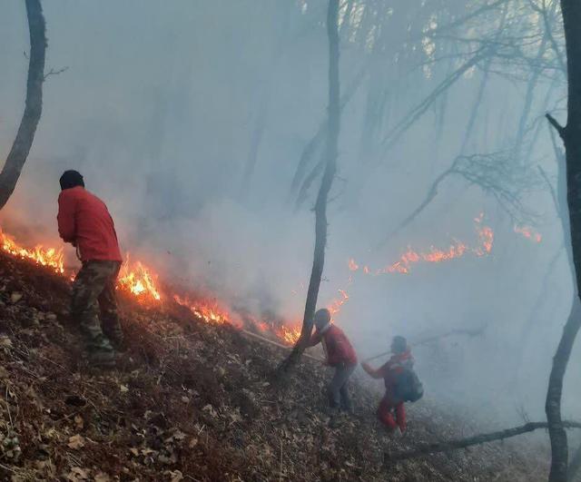 تدوام تلاش برای رهایی جنگل های دیزمار غربی از زبانه آتش و دود
