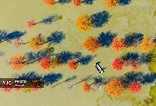 عکس‌های منتخب خبری جهان / آذر ۱۴۰۴