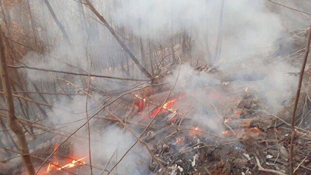 حریق در مناطق جنگلی گلستان/ یگان حفاظت: آتش تحت کنترل است