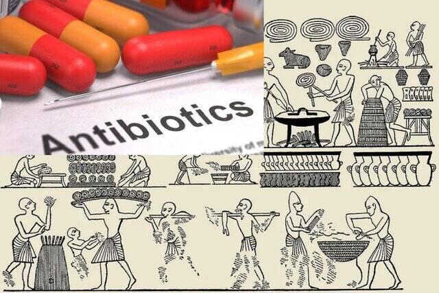 از کشف آنتیبیوتیک روی نانهای کپکزده مصر باستان تا معرفی پنیسیلین