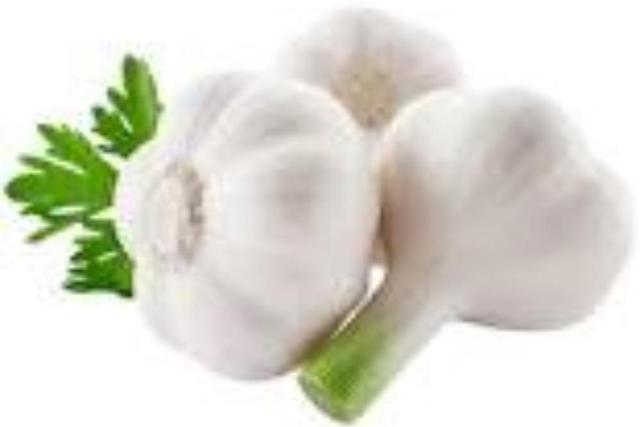 شایعه یا واقعیت؟ سیر خام ناشتا لاغر نمی‌کند