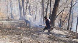 مهار گسترده آتش‌سوزی در جنگل‌های گلستان