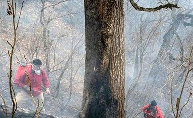 مهار ۹۵ درصدی آتش سوزی جنگل‌های الیت/ چرا برای مهار آتش دیر بالگرد اعزام شد؟