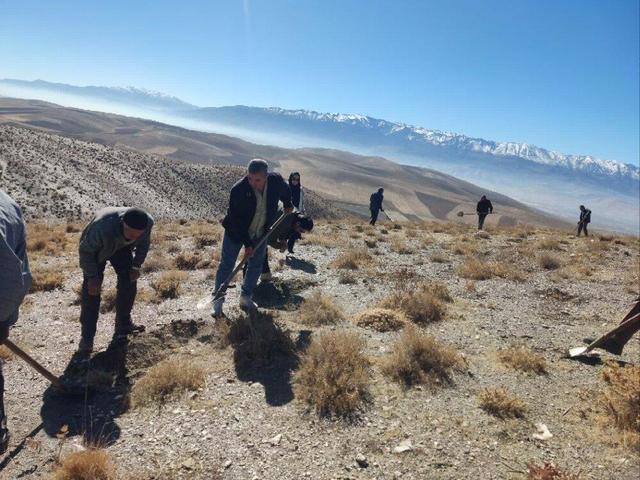 بیابان‌زایی، تثبیت خاک و بهبود وضعیت پوشش گیاهی در مراتع «زاغه‌انوج»