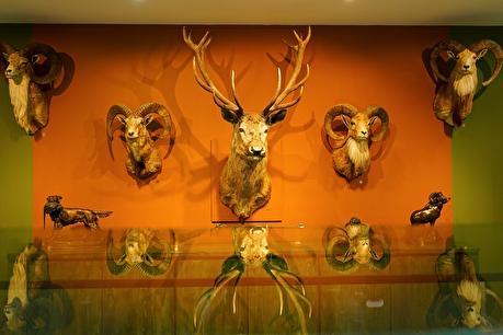 پردیس موزه رامسر