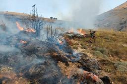 بحران در جنگلهای ایران/ ۴۶ هزار هکتار اراضی ملی، مرتعی و جنگلی آتش سوخت