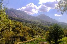 ممنوعیت ورود گردشگران به جنگل‌های سوادکوه تا اطلاع ثانوی