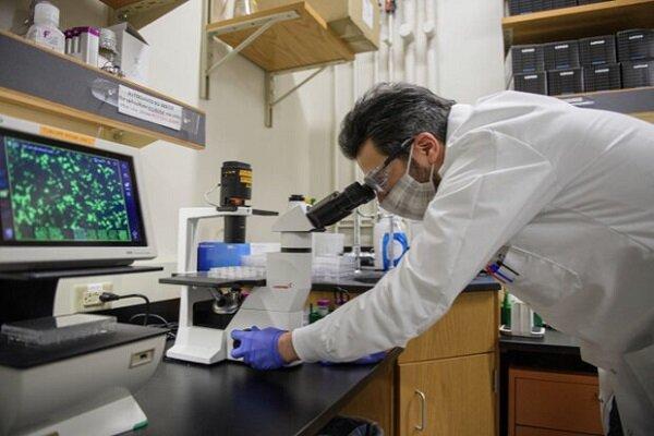 حضور بیش از ۱۱۰۰ پژوهشگر ایرانی در فهرست یک درصد پژوهشگران پراستناد جهان