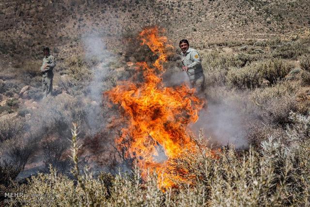 ببینید | اولین مرحله اطفای حریق در کلاله