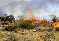 بحران در جنگلهای ایران/ ۴۶ هزار هکتار اراضی ملی، مرتعی و جنگلی در آتش سوخت