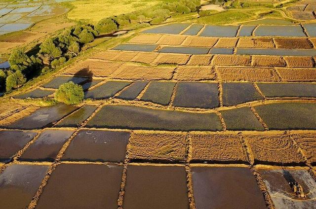 نورمحمدی: ۳۷ هزار هکتار از اراضی کشاورزی آبدانان نیازمند آبرسانی هستند