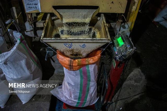 محمدی: ظرفیت تبدیل برنج در گیلان به ۱.۲ میلیون تن رسید