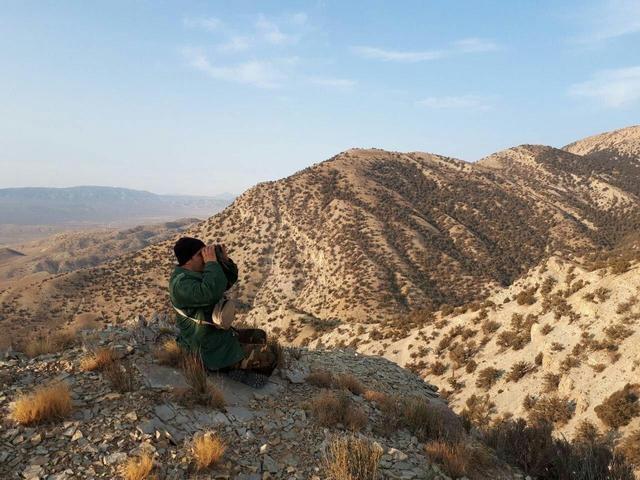 شکاریان: سرشماری پاییزه حیات‌وحش خراسان شمالی پایان یافت