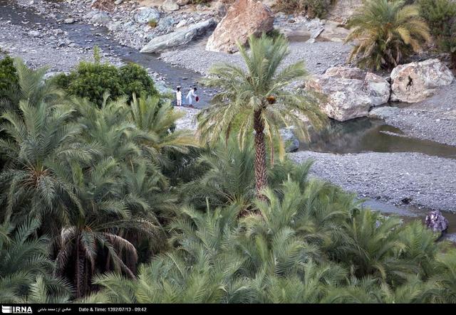 فیلم | شگیم نیکشهر؛ مقصدی برای عاشقان طبیعت و آبشارهای خروشان