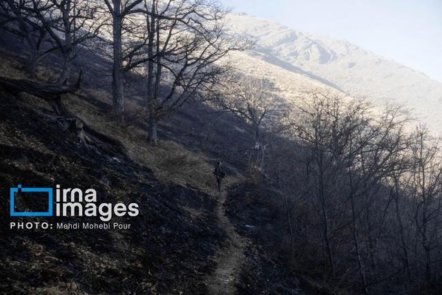 آتش‌سوزی در عرصه‌های جنگلی ساری مهار شد