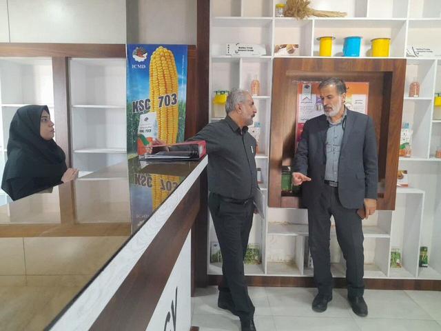 ۳۵۰ میلیون دلار محصول کشاورزی از دزفول به اوراسیا و حوزه خلیج فارس صادر شد