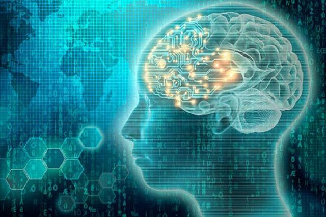 راه اندازی مرکز هوش مصنوعی بزودی در دانشگاه بوعلی/ فعالیت بیش از ۴۰۰ شرکت فناور در همدان