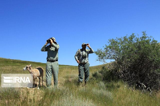بازطراحی جامع برنامه آموزش محیط‌بانان بر اساس سه شایستگی کلیدی