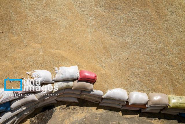 سارق ۶ تن گندم در سلطانیه دستگیر شد