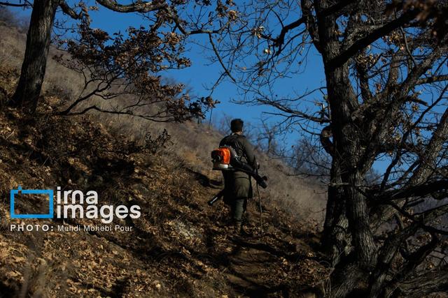 فرماندار چالوس: نیروهای امدادی و مردمی برای اطفای لکه‌ای آتش در الیت تلاش می‌کنند