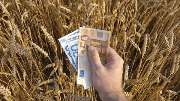 فدراسیون طیور ایران: بانک مرکزی تامین ارز برای نهاده‌های دام و طیور را انجام نداده؛ از سال گذشته نیز ۵ میلیارد دلار به واردکنندگان بدهکار است/ برای ۶ ماهه امسال در مجموع باید برای صنعت طیور ۳.۵ میلیارد دلار تامین می‌شد، اما این اتفاق نیفتاد