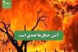 آتش جنگل‌ها عمدی است